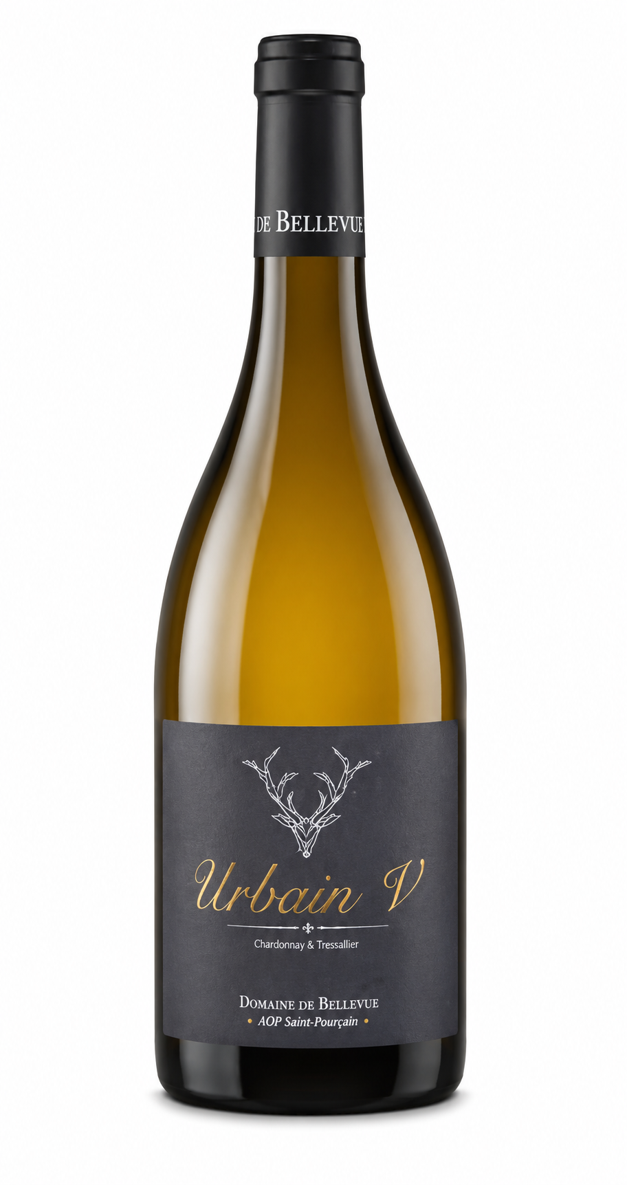 Urbain V Blanc du Domaine de Bellevue – Vin blanc AOP Saint-Pourçain issu de Chardonnay et de Tressallier 🍷