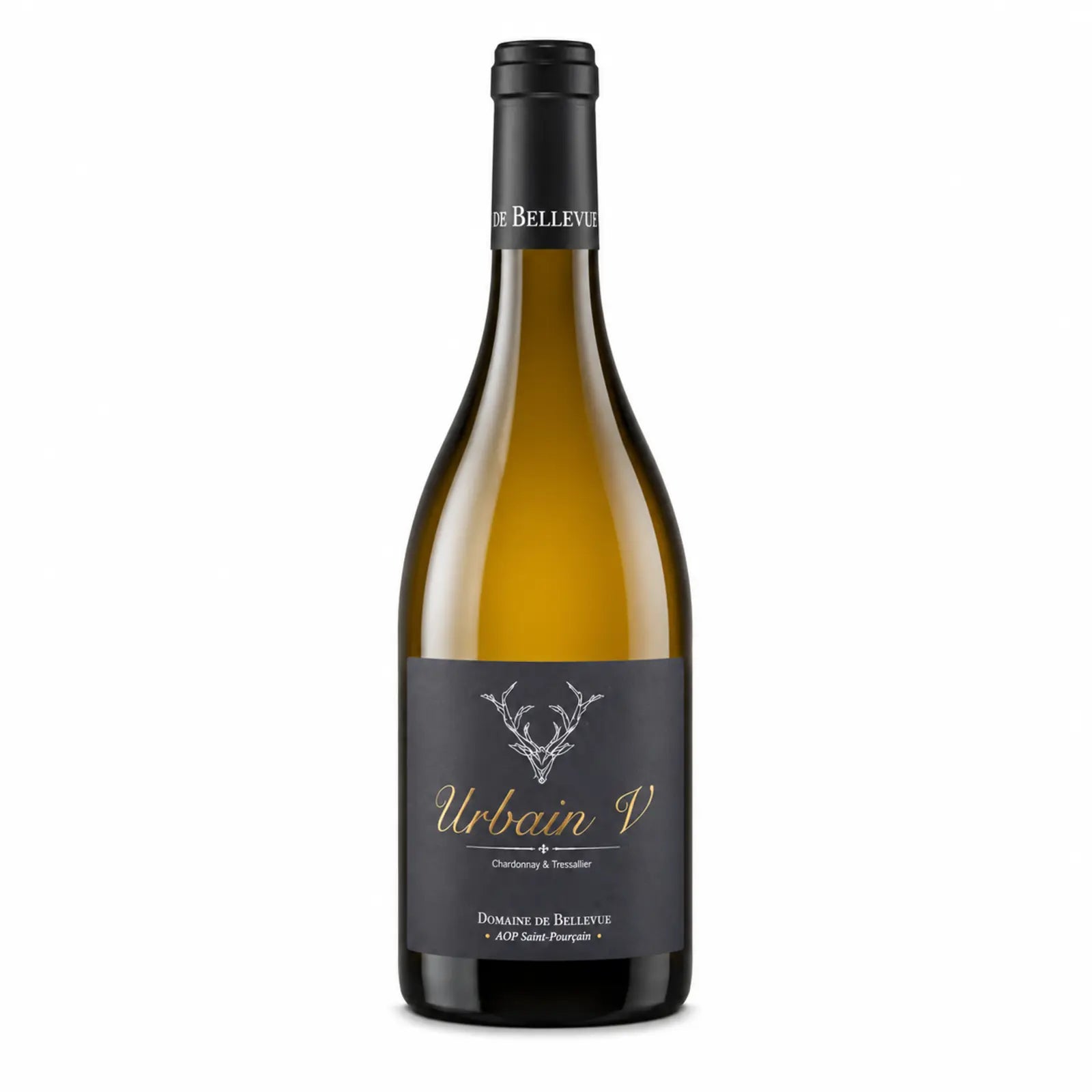 Urbain V Blanc du Domaine de Bellevue – Vin blanc AOP Saint-Pourçain issu de Chardonnay et de Tressallier 🍷